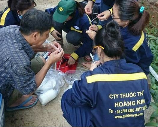 Cung cấp nhân sự Kỹ thuật tạm thời