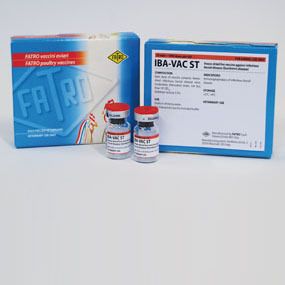 IBA-VAC ST
