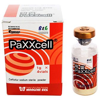 PaXXcell® PaXXcell®