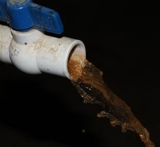 Tẩy rửa hệ thống ống dẫn nước và núm uống tại trại