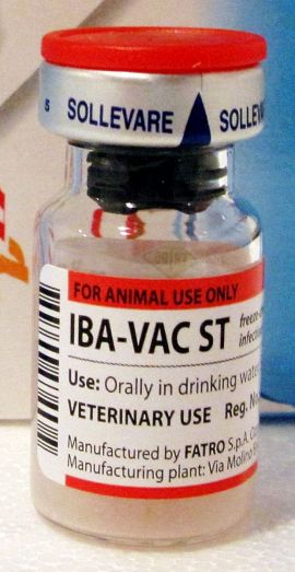 IBA-VAC ST